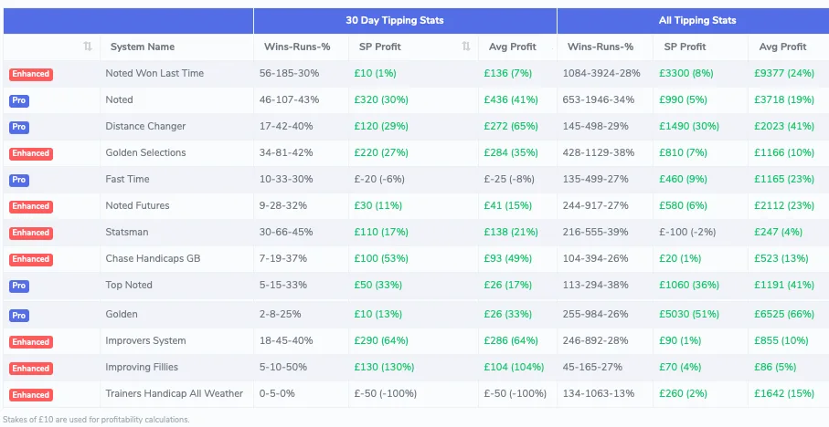 BetTurtle horse racing system builder showing automated daily selections and performance tracking interface.